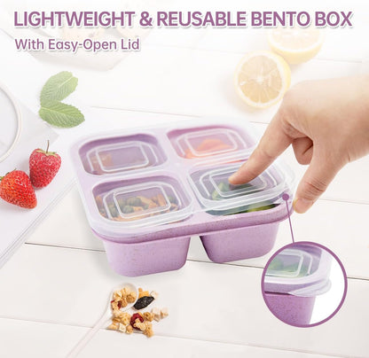 4-Compartment Snack Boxes – Portable Meal Prep Containers, Set of 5